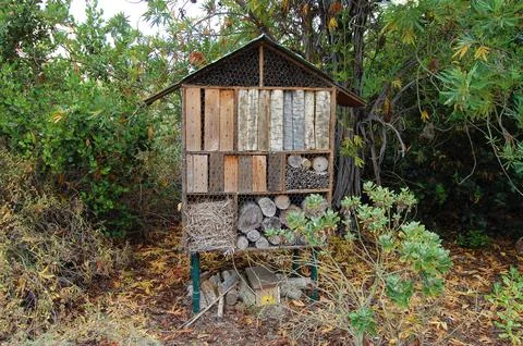 Insect House Stock Photos