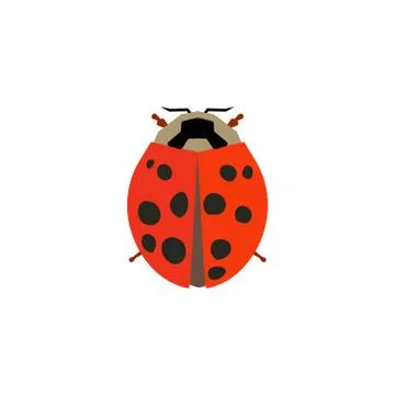 Insect icon in flat style isolated on white background. Vector Stock Illustration
