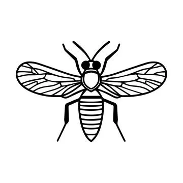 Insect icon or modern line symbol. Vector line art and icon design with bol.. Stock-Illustration