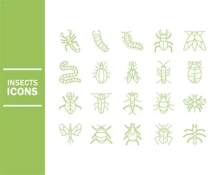 Insect icon set over white background, line detail style Stock Illustration