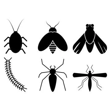Insect icon vector Stock Illustration