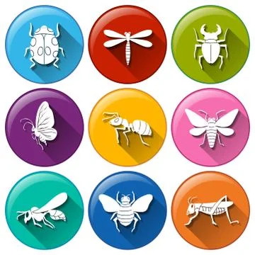 Insect icons Stock Illustration