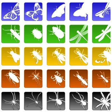 Insect icons Stock Illustration