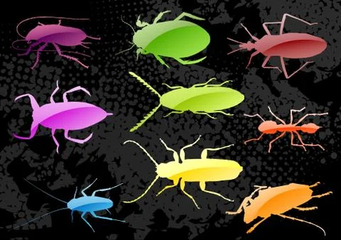 Insect Illustrazione stock