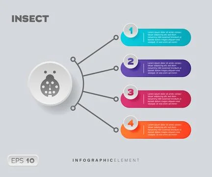 Insect Infographic Element Stock Illustration