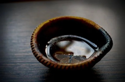 Insect in the lamp Stock Photos