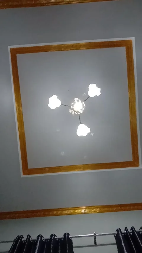 Insect Larons Stock Footage 294203577