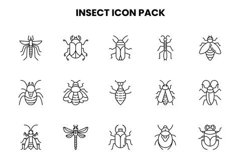 Insect Line Bundle Icons Pack Ilustración de archivo