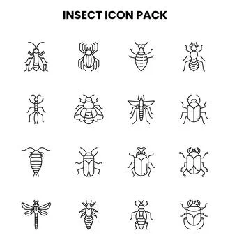 Insect Line Design Icons Pack Stock Illustration