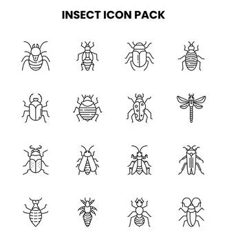 Insect Line Design Icons Pack イラスト素材
