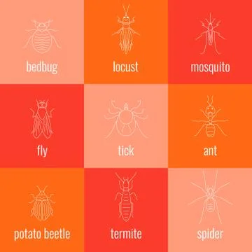 Insect line icon set Stock Illustration