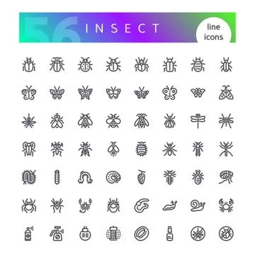 Insect Line Icons Set Stock Illustration