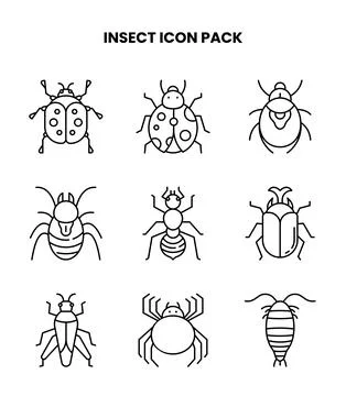 Insect Line UI Icons Pack Stock Illustration