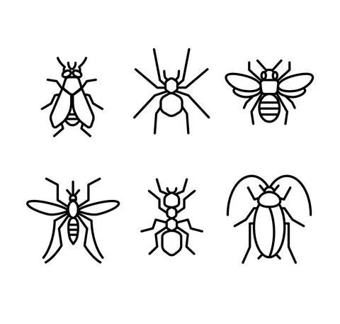 Insect lines icon vector illustration Stock Illustration