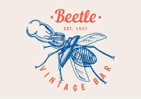 Insect logo. Vintage Bug Beetle label for bar or tattoo studio. Emblems badges Stock Illustration
