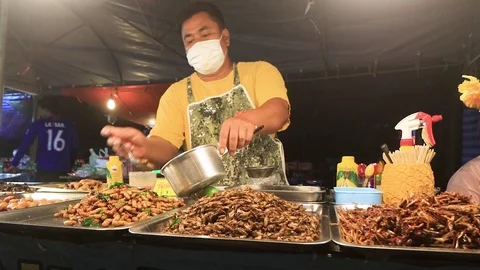 Insect market Stock Footage 123952977