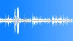 Insect Movement Wet MultipleSound Effect