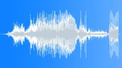 Insect Movement Wet RipSound Effect
