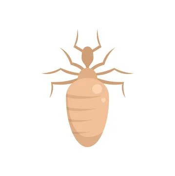 Insect nature bug icon flat isolated vector Stock Illustration