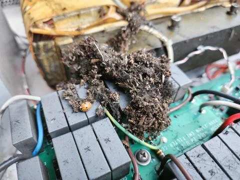 Insect Nest on Gray Filter Capacitor Board Stock Photos