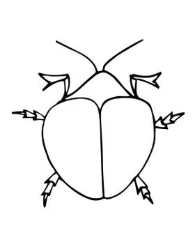 Insect outline vector, icon. Easy coloring book for kids. Exotic bug collecti Stock Illustration