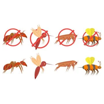 Insect pests vector. Mosquito, cockroach, ant, hornet, gnat and pest. Stock Illustration