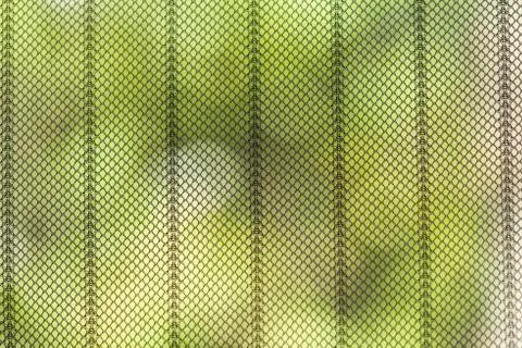 Insect protection net in front of a window or door with green from the garden Stock Photos