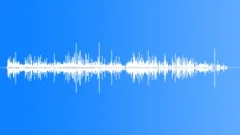 Insect run 01 Sound Effect