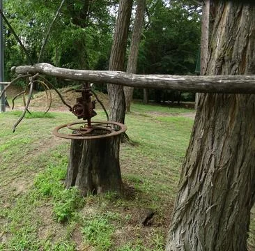 Insect sculpture made from tree branches and an old engine part Foto stock