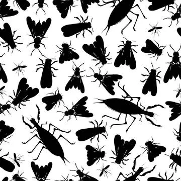 Insect seamless pattern Seamless pattern with insect silhouettes Copyright... Stock Photos