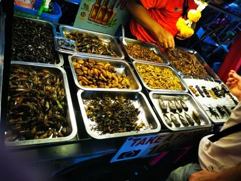 Insect selection for dinner Stock Photos
