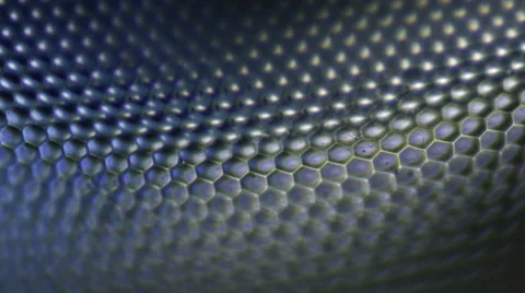 Insect. Sequence. Extreme close-up. Macro Stock Footage 43675051