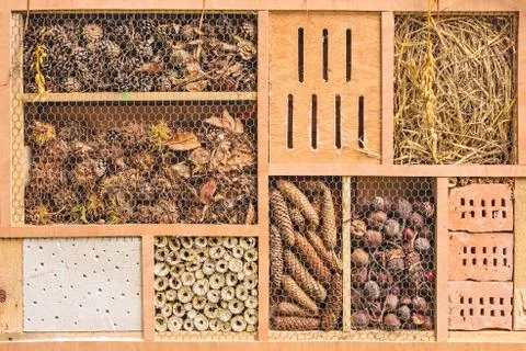 Insect shelter with constructions for different insects Stock Photos