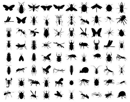 Insect Silhouette Set Stock Illustration