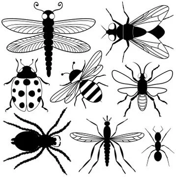 Insect silhouettes Stock Illustration