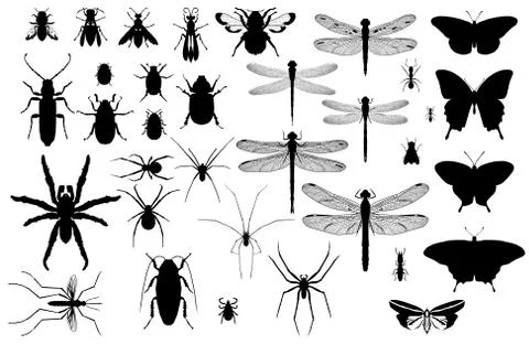 Insect silhouettes Stock Illustration