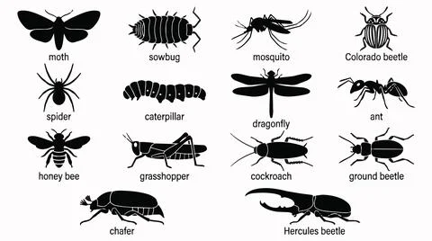 Insect silhouettes on white background. Stock Illustration