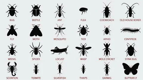 Insect silhouettes on white background. Stock Illustration