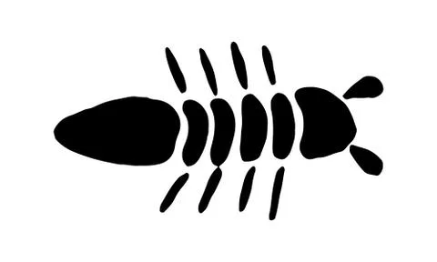 Insect simple icons set - vector collection of bugs symbols in thin line styl Stock Illustration