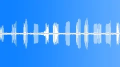Insect Sounds At NightSound Effect
