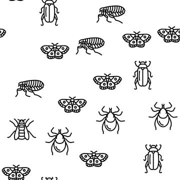 Insect, Spider And Bug Wildlife Vector Seamless Pattern Stock Illustration