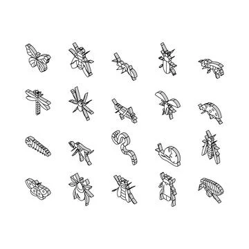 Insect, Spider And Bug Wildlife isometric icons set vector Stock Illustration