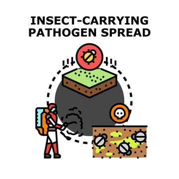 Insect spreading pathogen control and prevention strategies Stock Illustration