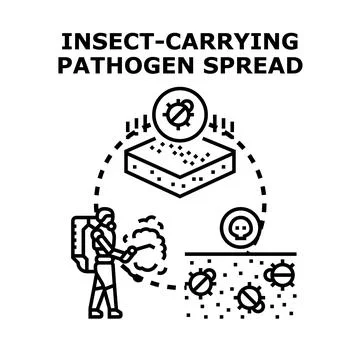 Insect spreading pathogen control and prevention strategies Stock Illustration