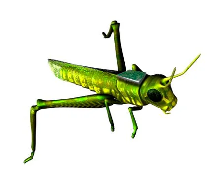 Insect spy, conceptual artwork 스톡 일러스트