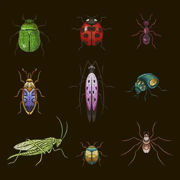 Insect stitch. Bug patch, insects embroidery. Ladybug and grasshopper, garden Stock Illustration