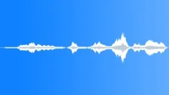 INSECT, SWARM Sound Effect