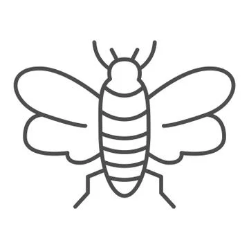 Insect thin line icon, Insects concept, bee sign on white background, flying Ilustração Stock