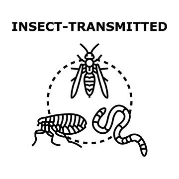 Insect transmitted disease and parasite vector concept Stock Illustration