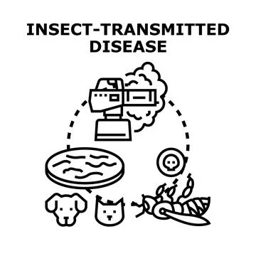 Insect transmitted disease control and prevention concept Stock Illustration